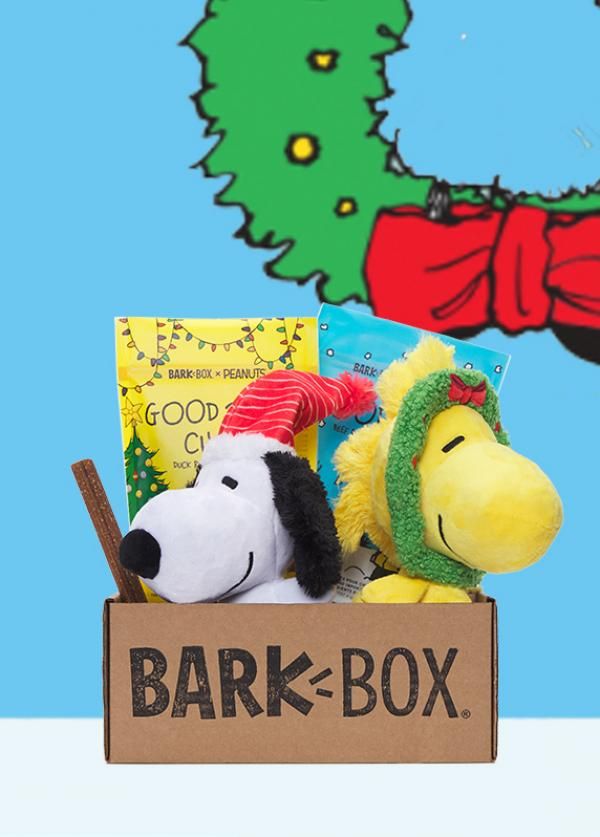 Promotion photo for Barbox company